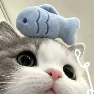 成员昵称 告白王
